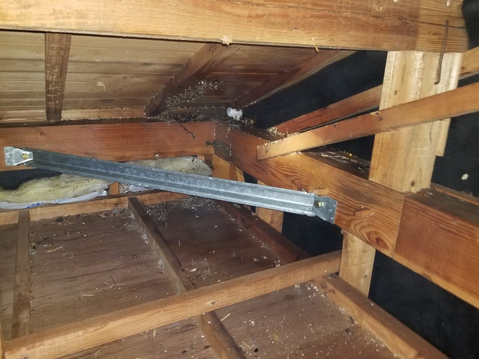 スズメバチの巣を撤去した後の住宅の屋根裏